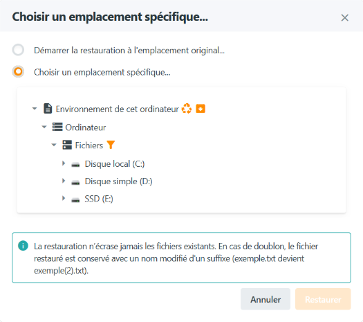 Cible de restauration