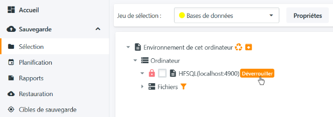 Connexion au serveur HFSQL